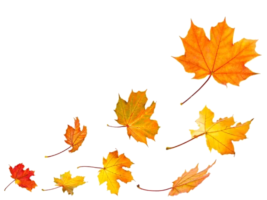 Fall-Leaves_LOWERRIGHT.gif