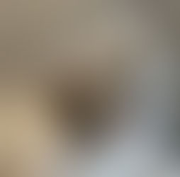 Plafond doublage ( pièce à vivre )