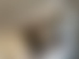 Plafond doublage ( pièce à vivre )