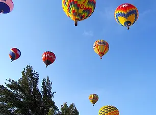 Balloon_races_Baileys_group_home_7.webp