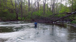 IMG_20160512_172846229