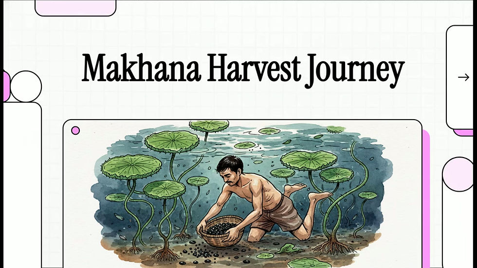 Makhana_Harvest_Journey.mp4