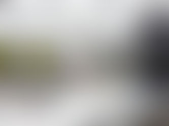 Frame Article- Contemporary bookstore