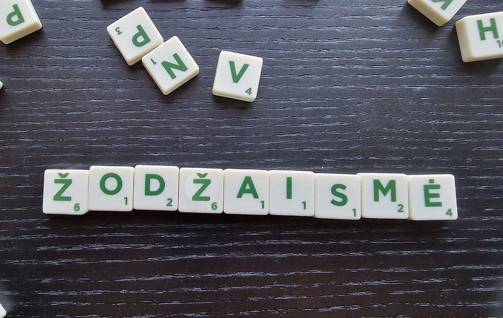 Stovykla ŽODŽAISMĖ (rugpjūčio 23-24)