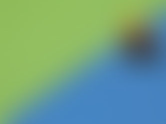 The Beaver Lesson That Quietly Rewrites Every Project You’ll Ever Build