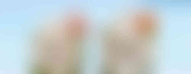 Beschriftete Kokosnüsse