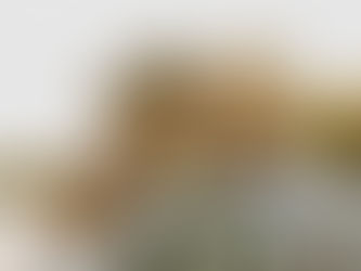 Mariage de rêve exclusif au Bliss Hotel Praslin