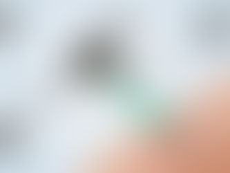 Verbreitung von Arboviren hält an