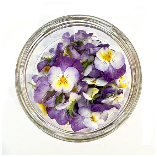 Thumbnail: Freeze Dried Edible Violas/Pansies