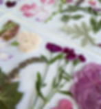 Thumbnail: Freeze Dried Pressed Edible Flowers for cakes close-up