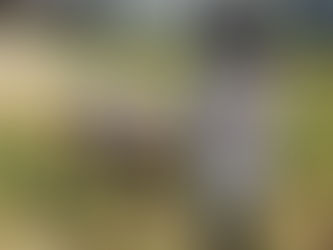 バスに乗って…🚌💨