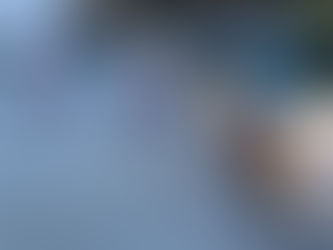 しっぽとりゲーム✨