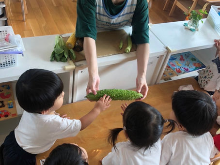 野菜スタンプ😀