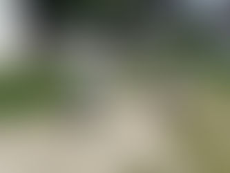 雨の降る前に🤗