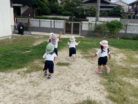 雨の降る前に🤗
