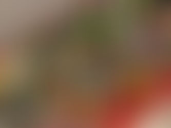 短冊に願いをこめて…✨