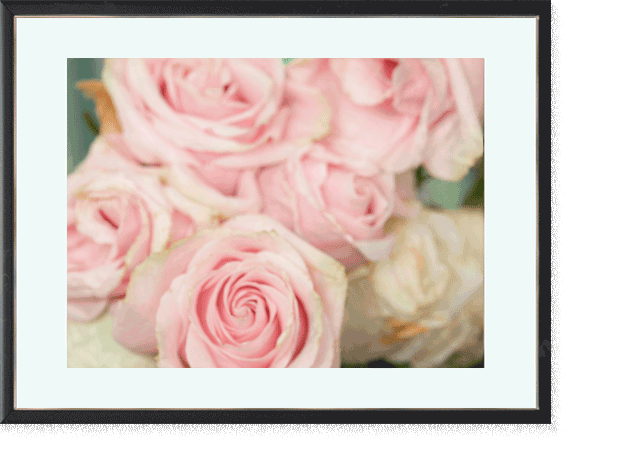 landing-page-rose-frame-2.gif