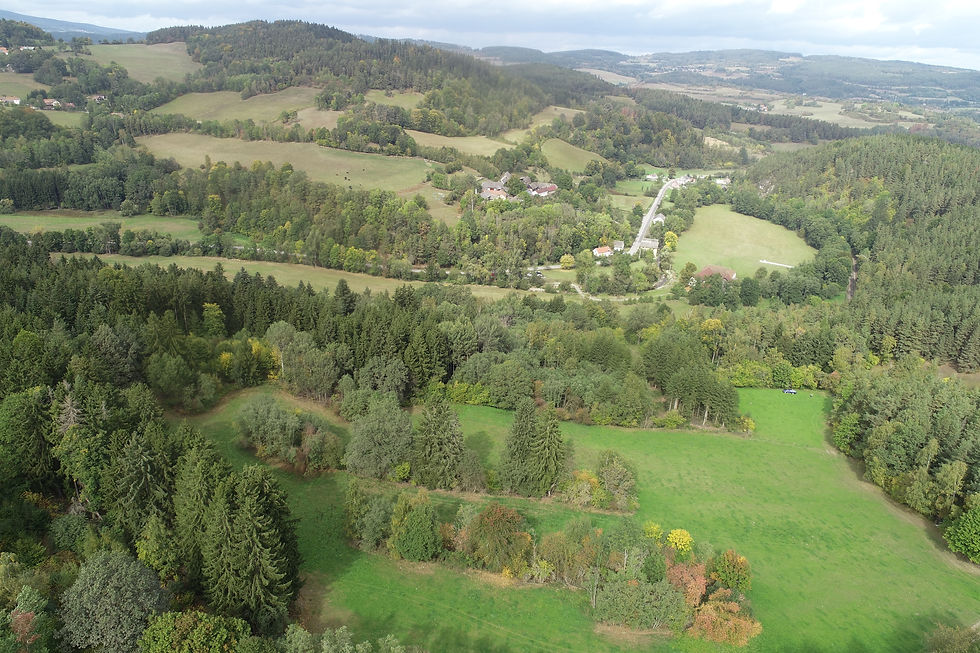 Projekt LIFE Forest hledá dobrovolníky pro ochranu unikátníchpřírodních lokalit v příhraničí Česka a Polska