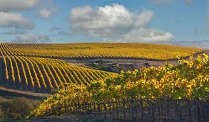 How Does the Drought Affect You?