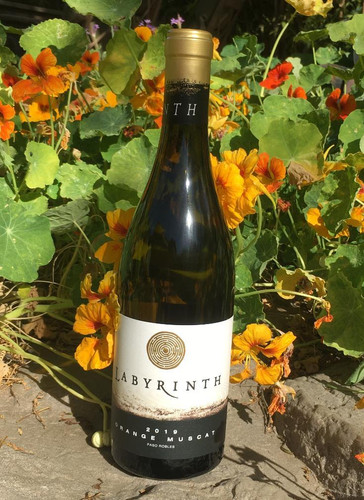 2019 Orange Muscat | labyrinth