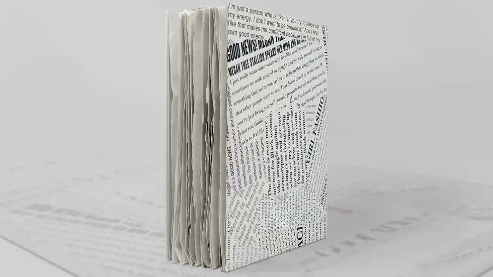 MeganTheeStallion_PromoBox-b