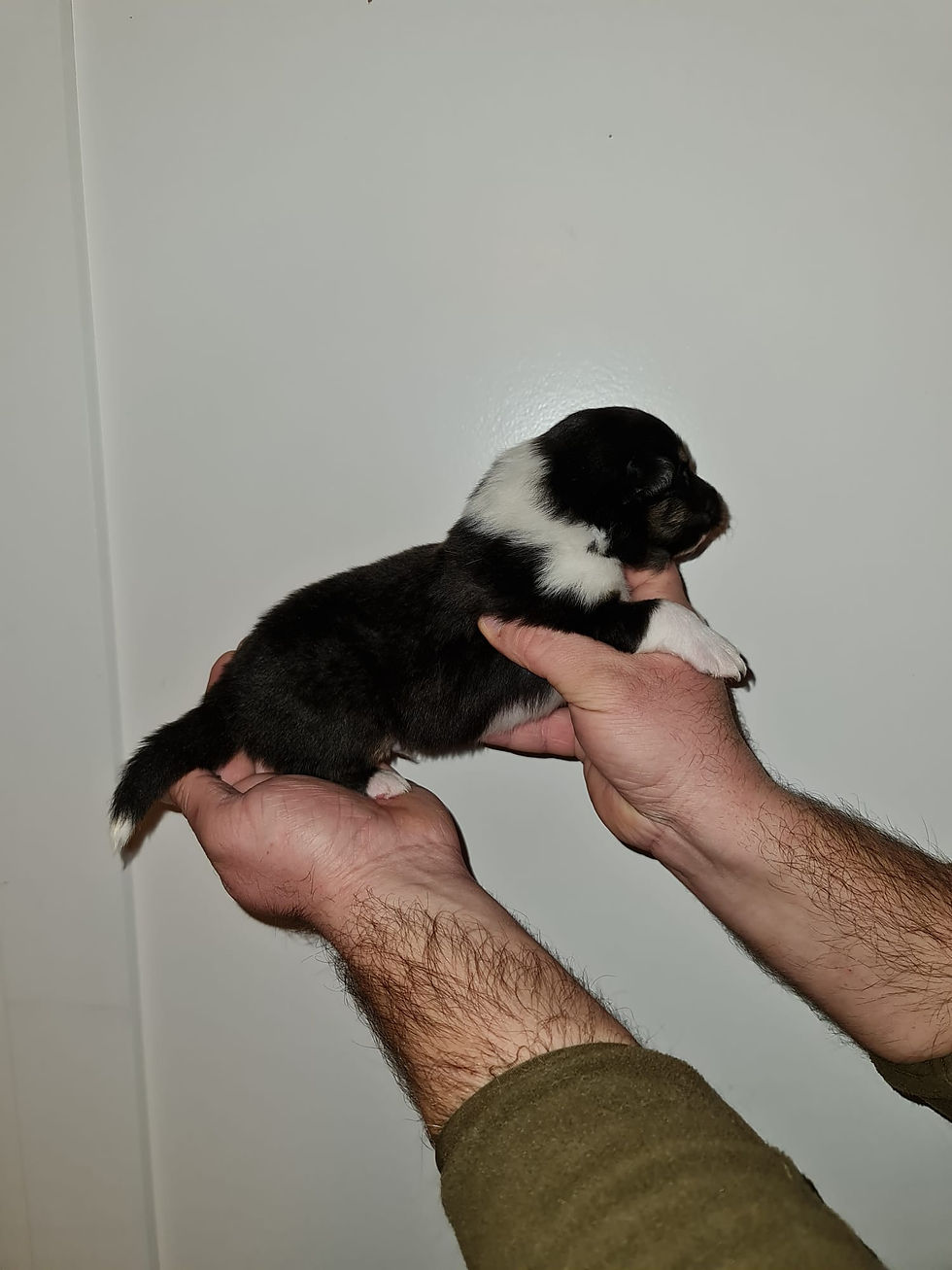 Onyx