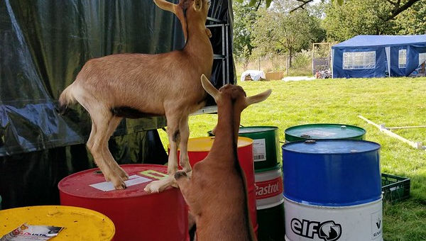 terugkoppel / fruitplukweekend