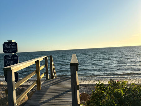 Vertical Farming and Sustainable Agriculture