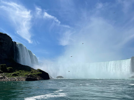Reimagining Law in the Age of Environmental Change