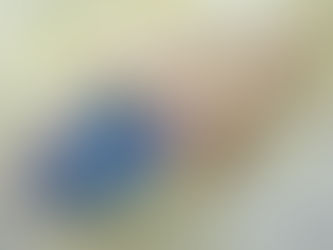 A Home in the Shells