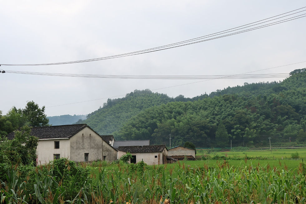 Climate Change Skepticism: WhatShould You Believe?