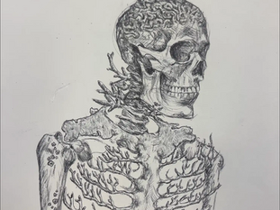 Skeleton