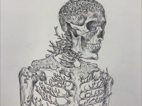 Skeleton