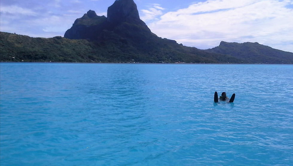 Learn to water ski or sharpen your slalom on Bora Bora's protected lagoon. Private sessions from 30 minutes, up to 6 people per boat. Book online.