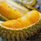 Thumbnail: D24 DURIAN