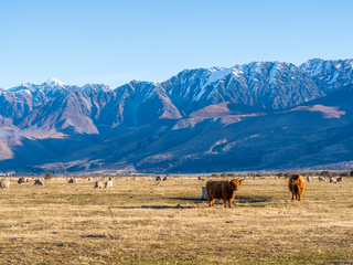 Mt Cook Stn-200717-63.png