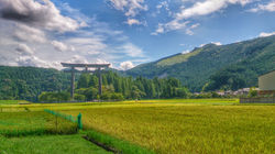 熊野古道中辺路(2014.8)