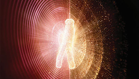 Redginsenic™ 레드진세닉