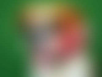 Training Like a Champion: What the Super Bowl Can Teach Us About Dog Training