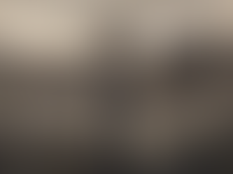 Into The Warzone Concept Art 2