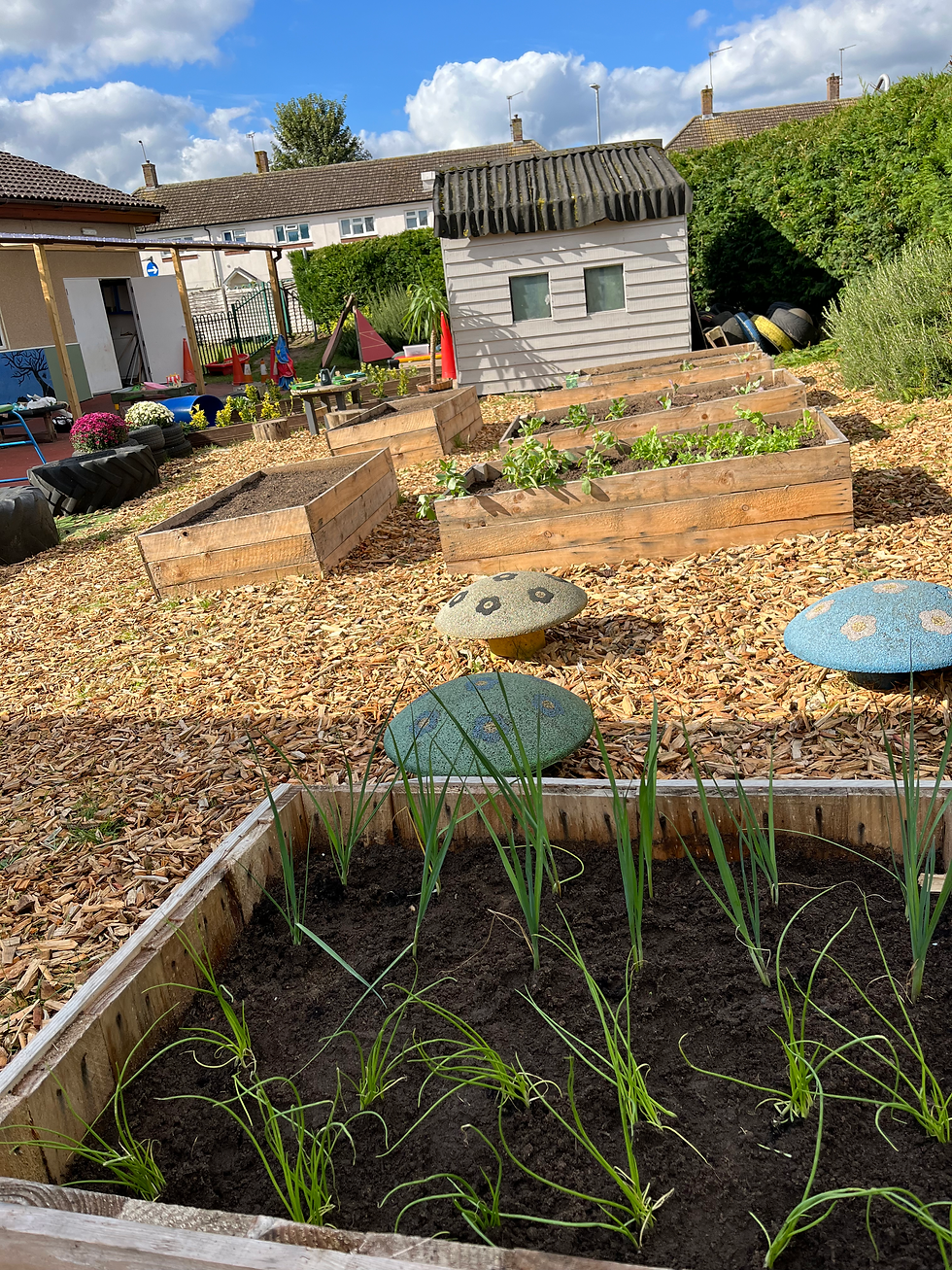 growing area (4).heic