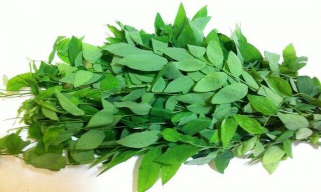 rau ngót chữa xuất tinh sớm