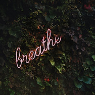 tim-goedhart-vnpTRdmtQ30-unsplash.jpg
