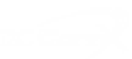 DC ConnX White Logo2.png