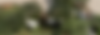 Picture2.png