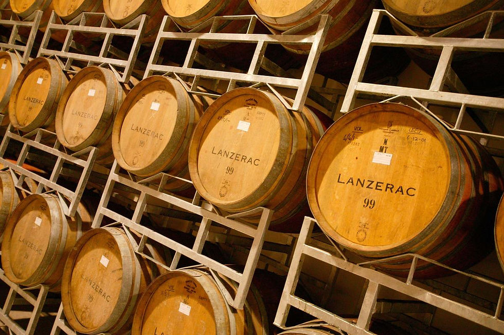 csm_Lanzerac_21_winery_Vate_995cfed272_11689f97eedc1292d0b04e25e2e6a812.jpg