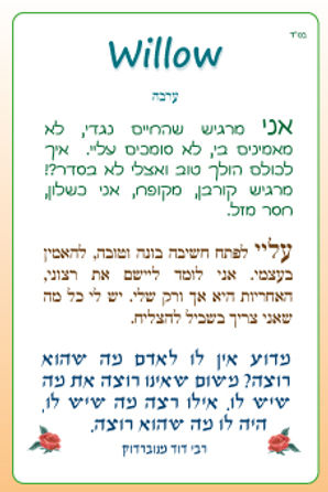 Willow-קלפי פרחי באך-גלגל.jpg