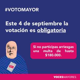 Voto Mayor2.jpg