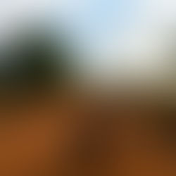 volunteering in malawi