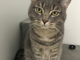 Shivers finds a home!